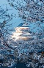 7月5号的世界杯怎么买-7月5号世界杯竞猜策略，精准预测与理性投注