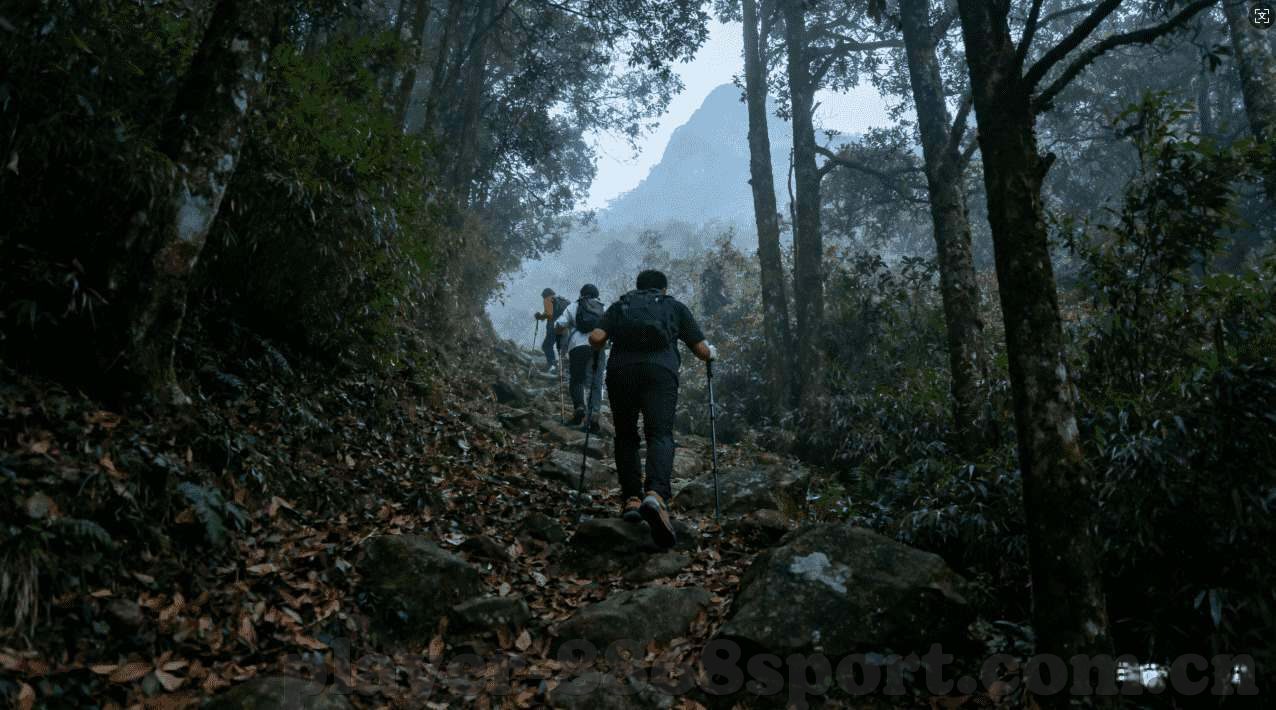 大富翁app下载安装抢庄牛牛-大富翁App下载安装抢庄牛牛的乐趣与挑战