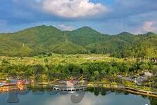抢庄牛牛心态技巧-抢庄牛牛心态与技巧，如何在游戏中保持冷静与智慧
