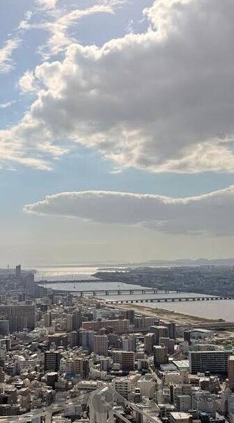 体育彩票足球比分-揭秘体育彩票足球比分，理性购彩，享受足球激情的智慧之道