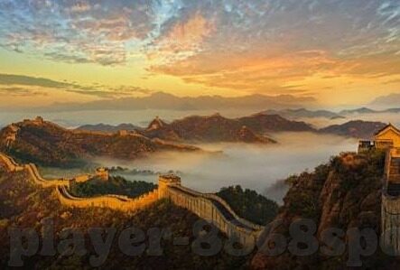 在哪网投百家乐的网站-寻找可靠的网络投注平台，安全、合法与高效并重